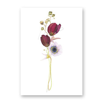 Wenskaart - Tulipe &amp; anemone