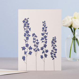 Wenskaart Delphinium