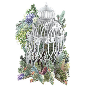 3D Pop Up wenskaart - Succulent Love