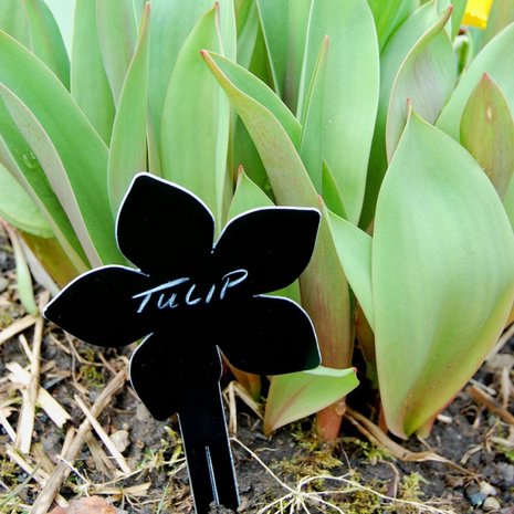 Plantenlabels - bloemen en planten