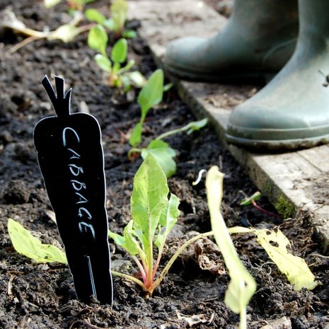 Plantenlabels - groente en kruiden