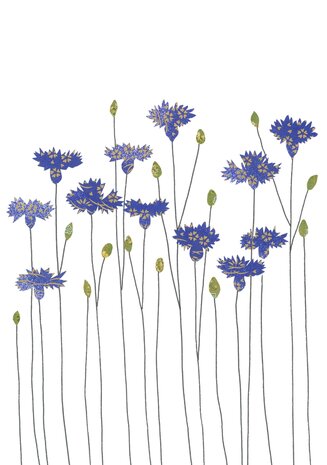 Wenskaart Cornflowers