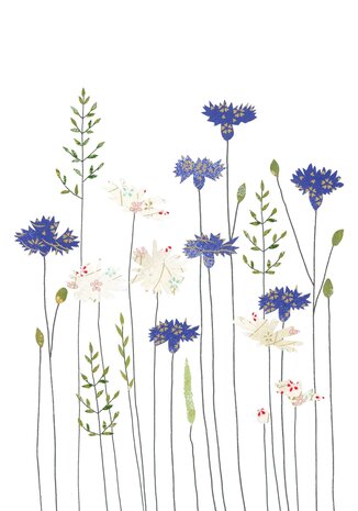 Wenskaart Cornflowers & Daisies