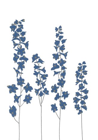 Wenskaart Delphinium