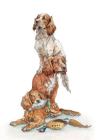 Wenskaart - A Spaniel mob