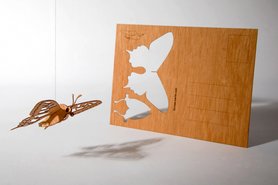 Houten kaart - vlinder