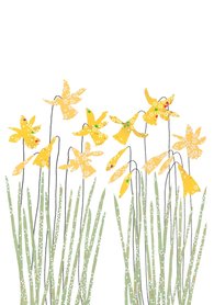 Wenskaart Daffodils