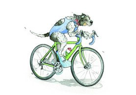 Wenskaart - Pedalling Pooch