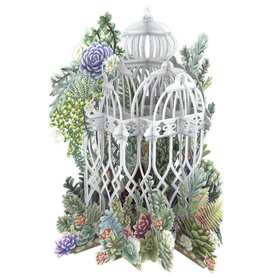 3D Pop Up wenskaart - Succulent Love